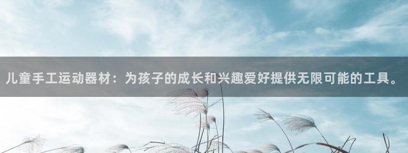 意昂平台体育：儿童手工运动器材：为孩子的成长和兴趣爱好提供无