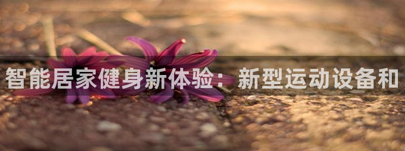 凯捷体育招商电话地址：智能居家健身新体验：新型运动设备和