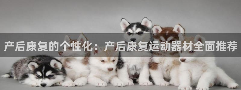 凯捷体育集团：产后康复的个性化：产后康复运动器材全面推荐