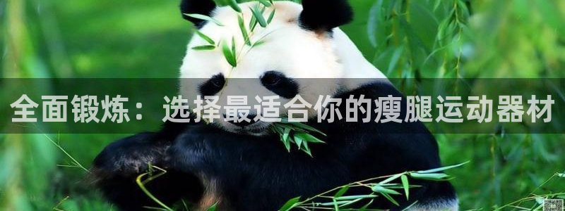 凯捷体育平台注册要钱吗是真的吗：全面锻炼：选择最适合