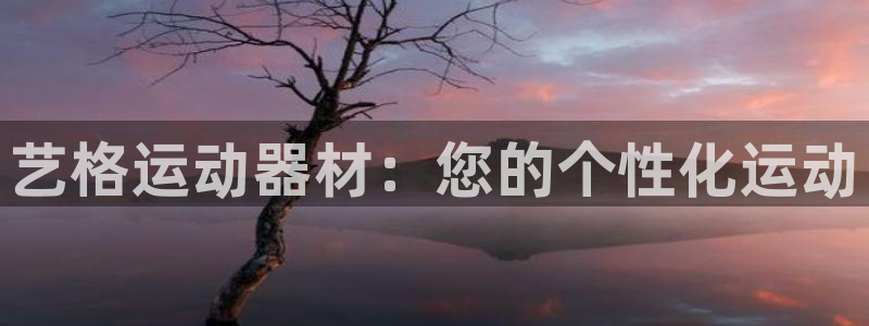 凯捷体育平台注册流程视频：艺格运动器材：您的个性化运动