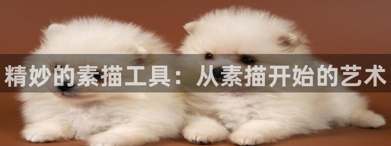 凯捷体育平台APP：精妙的素描工具：从素描开始的艺术