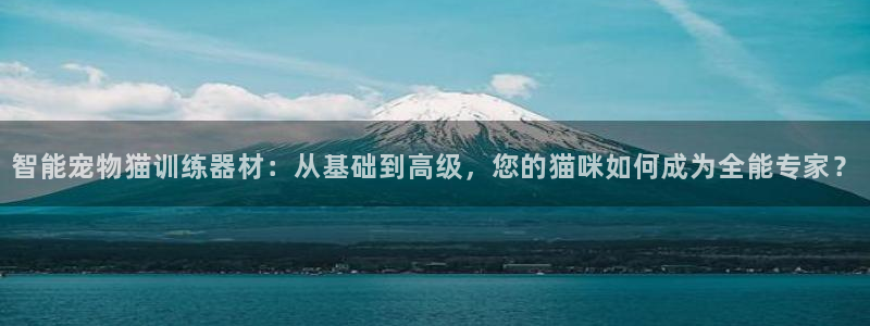 凯捷体育平台注册：智能宠物猫训练器材：从基础到高级，您的猫咪