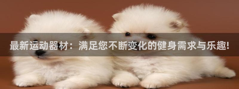 凯捷体育新能源