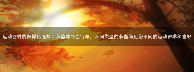 凯捷体育官方：运动器材的多样化选择：从篮球到自行车，