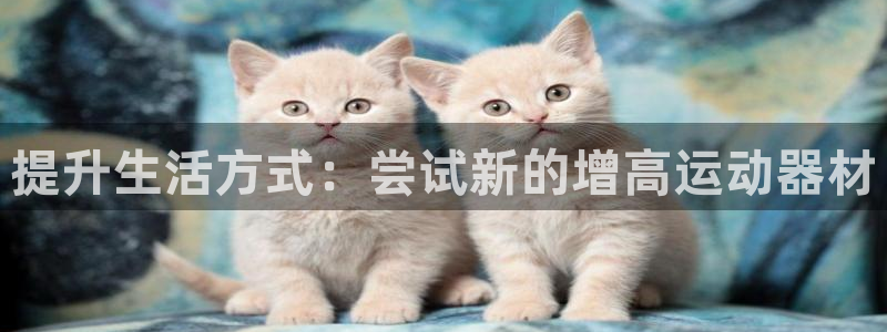 凯捷体育招商电话地址